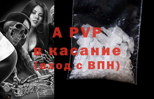 сатива Баксан